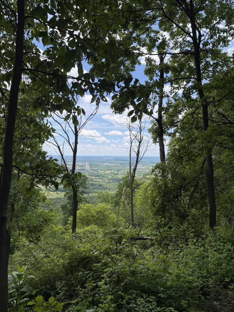 Valley view through the trees along the Appalachian Trail between Green Point and Route 501 in Pennsylvania