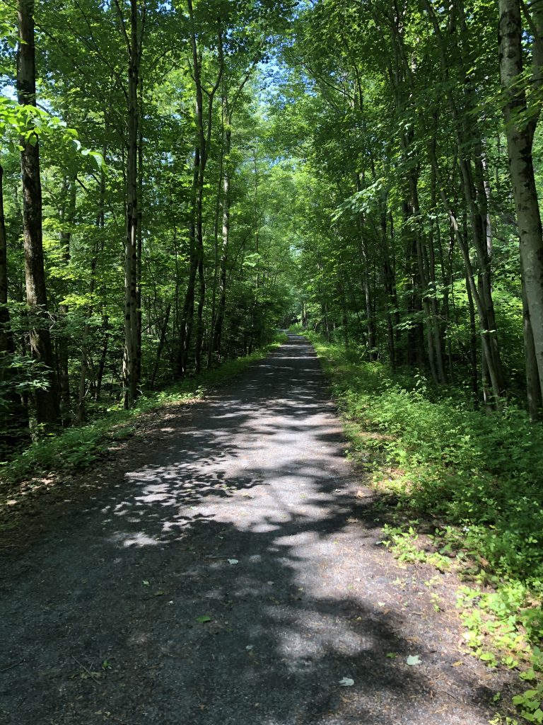 Lebanon Valley Rail Trail walking biking Lebanon County Pennsylvania