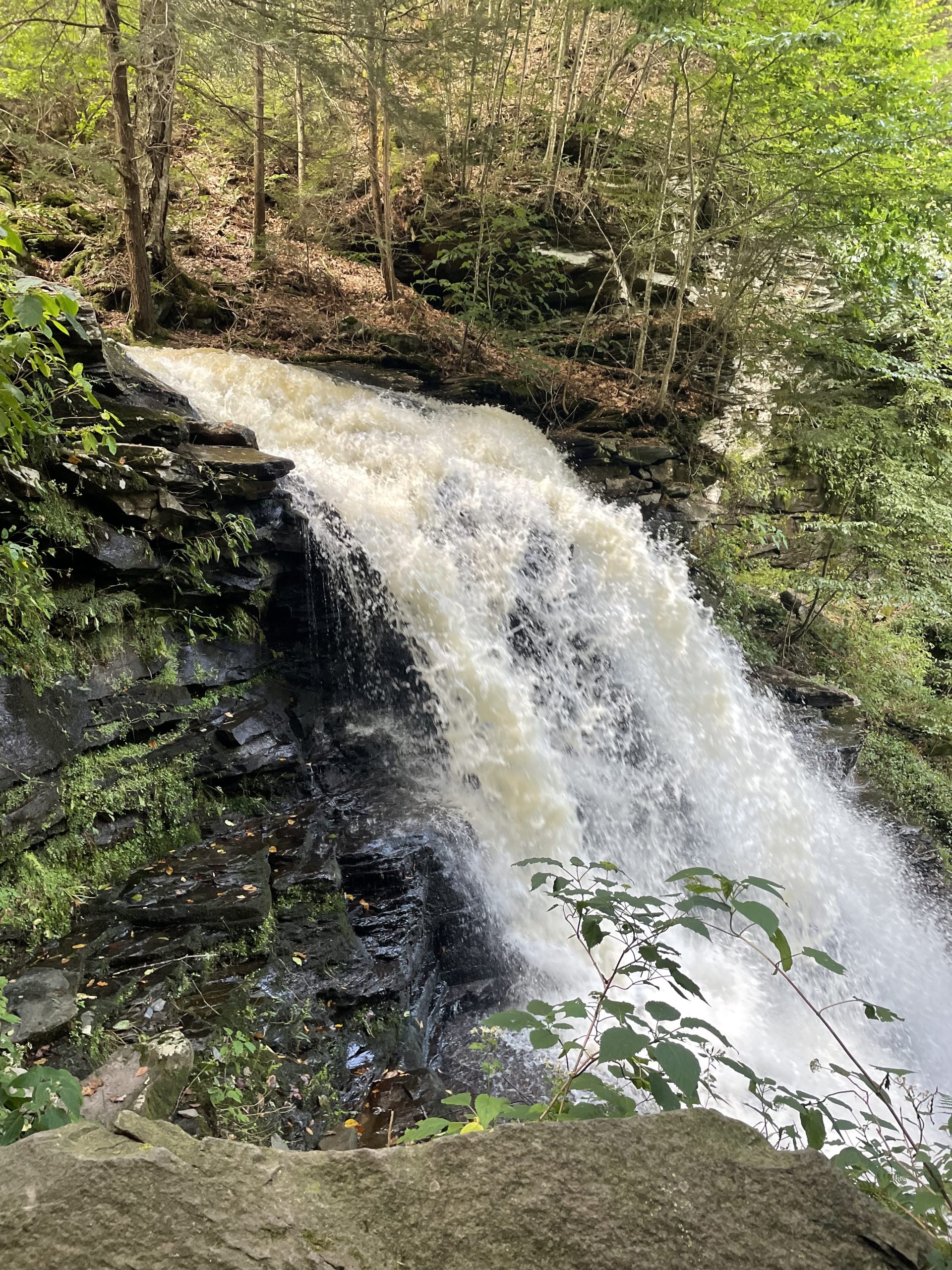 Ricketts Glen State Park waterfall Falls Trail Pennsylvania