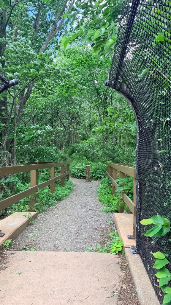 Trail entrance at Peters Mountain Trailhead on the Appalachian Trail in Pennsylvania