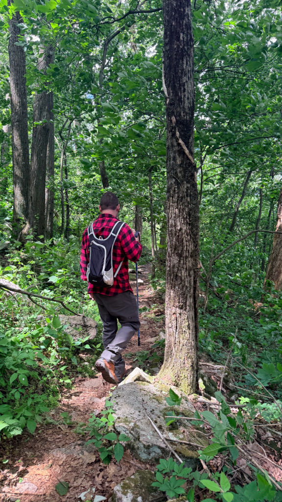 Hiker walking through a wooded section of the Appalachian Trail between Peters Mountain Trailhead and Clarks Ferry Trailhead in Pennsylvania