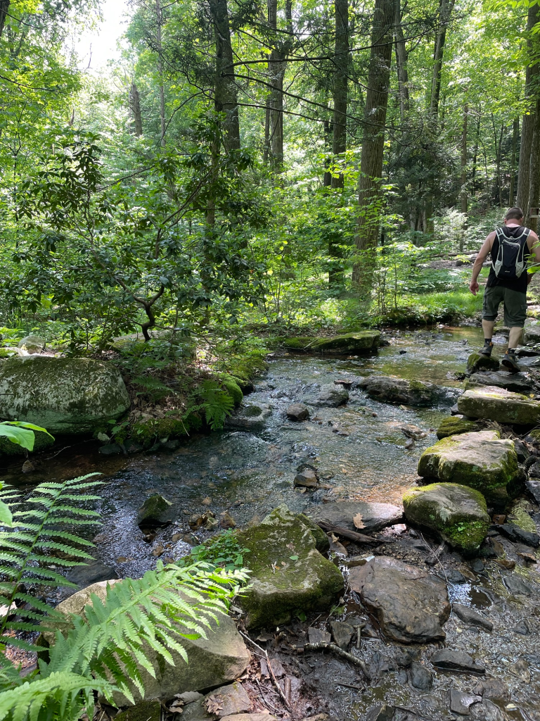 Small stream crossing along the Appalachian Trail between PA 183 and Route 501 in Pennsylvania