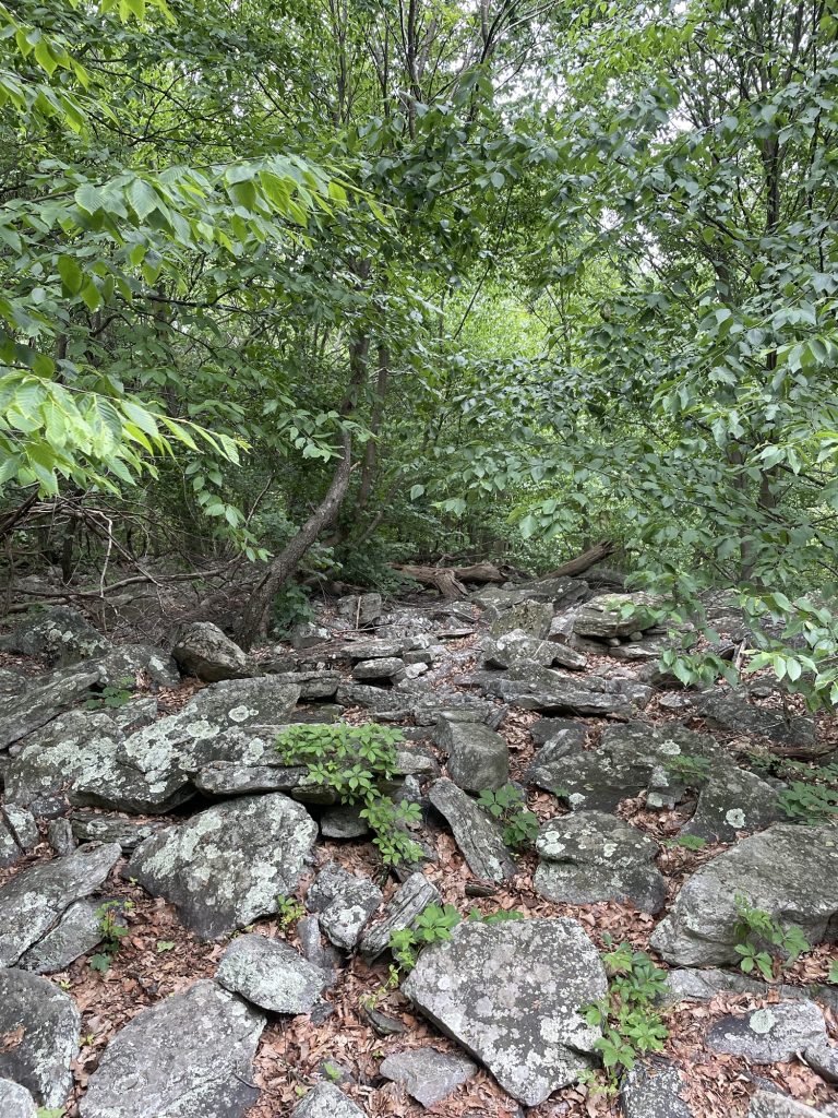Rock-covered section of the Appalachian Trail in Pennsylvania featuring the rugged terrain that gives the state the nickname Rocksylvania