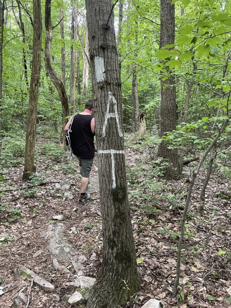 White Appalachian Trail blaze painted on a tree as a hiker follows the trail through a Pennsylvania forest