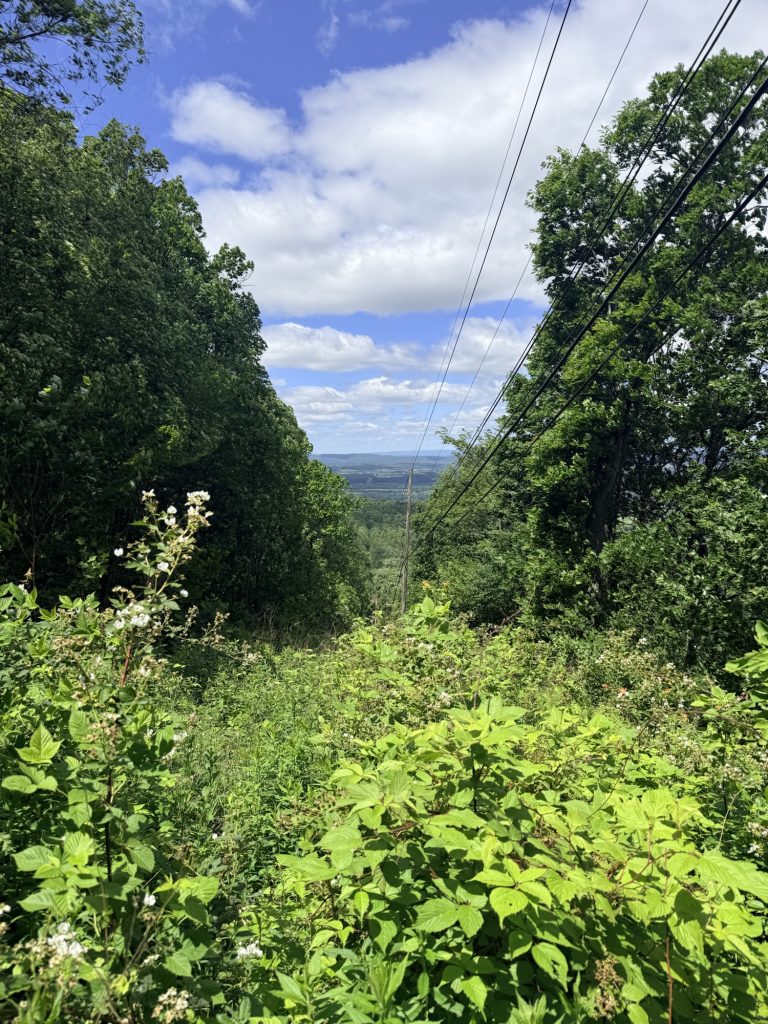 View from a power line clearing along the Appalachian Trail between Peters Mountain Trailhead and Clarks Ferry Trailhead in Pennsylvania