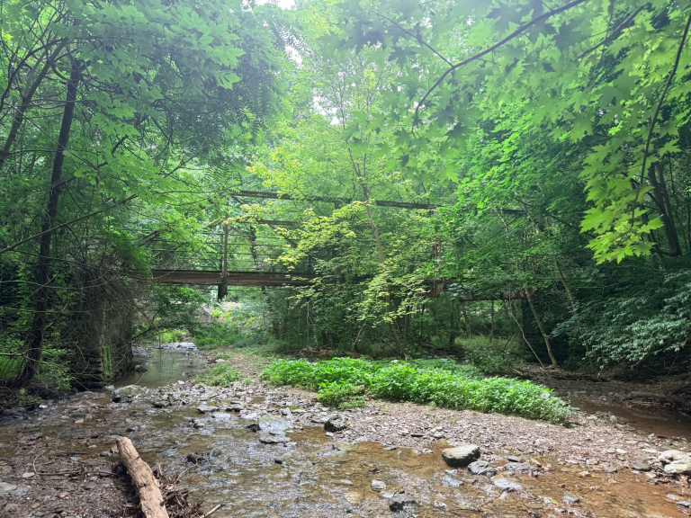 Peaceful section of Kelly's Run flowing through a lush forest in Lancaster County, Pennsylvania.