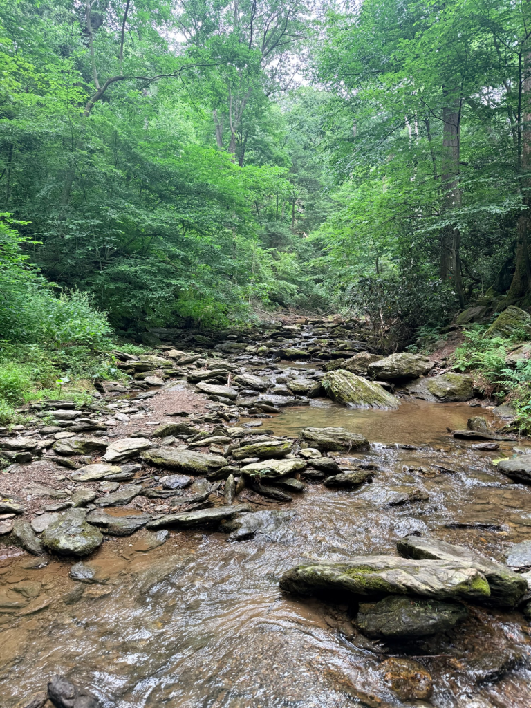 Rocky hiking trail winding through Kelly's Run Nature Preserve in Lancaster County