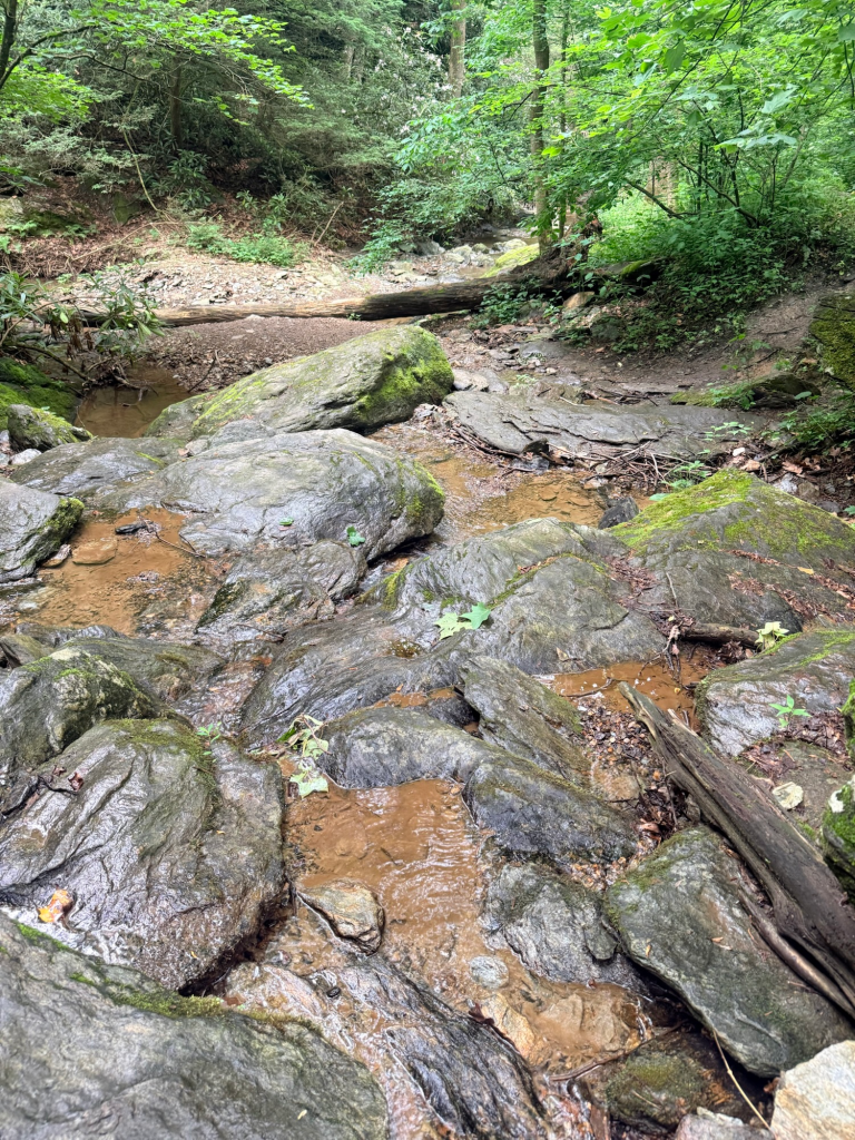 Clear water flowing over rocky stream crossing at Kelly's Run Nature Preserve in Lancaster County, Pennsylvania.