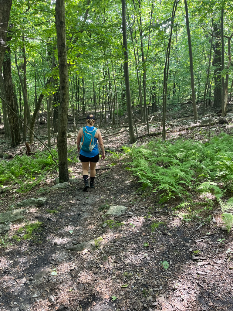 Hiker walking through a forested section of the Appalachian Trail between PA 183 and Route 501 in Pennsylvania